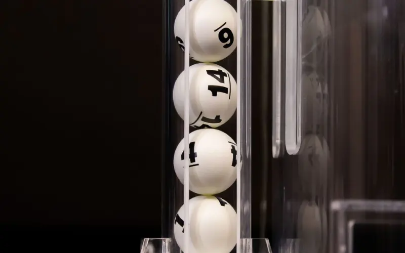 dear lottery guessing